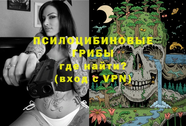 дурь Лагань