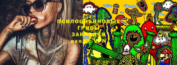 гидра Лабытнанги