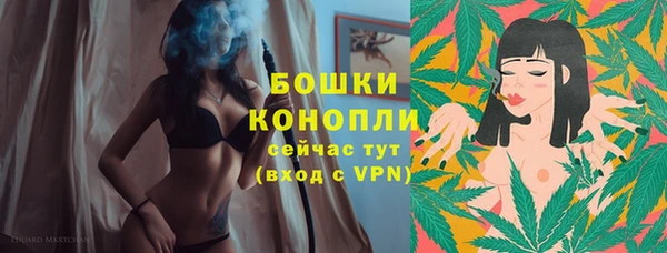 дурь Лагань