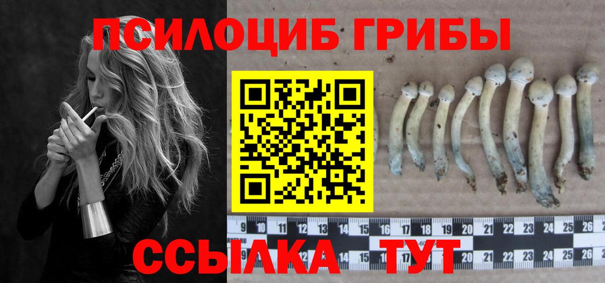 Галлюциногенные грибы Psilocybe  Псилоцибиновые грибы Psilocybine cubensis  Вход с VPN  Усинск 