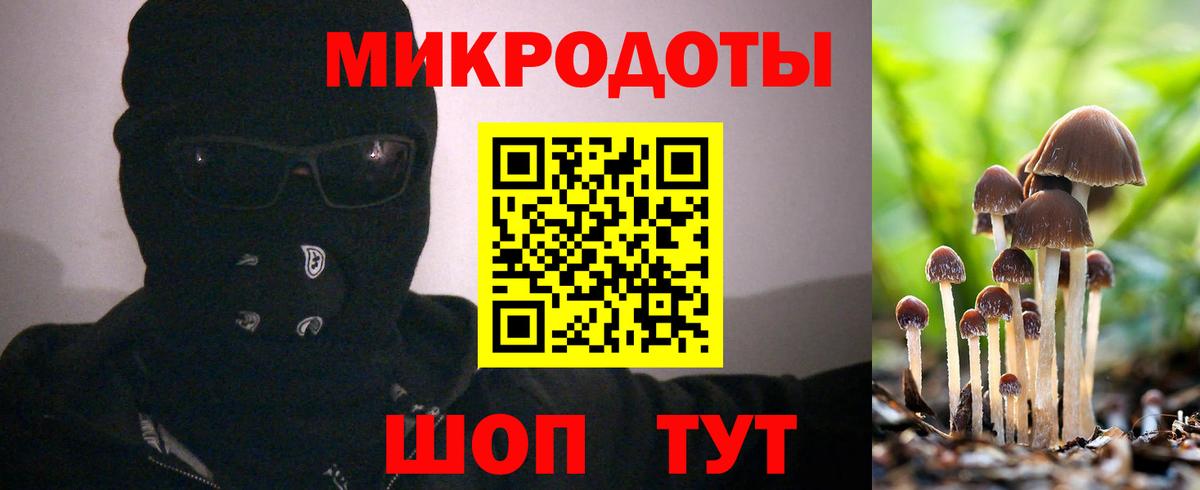 Галлюциногенные грибы мухоморы Усинск